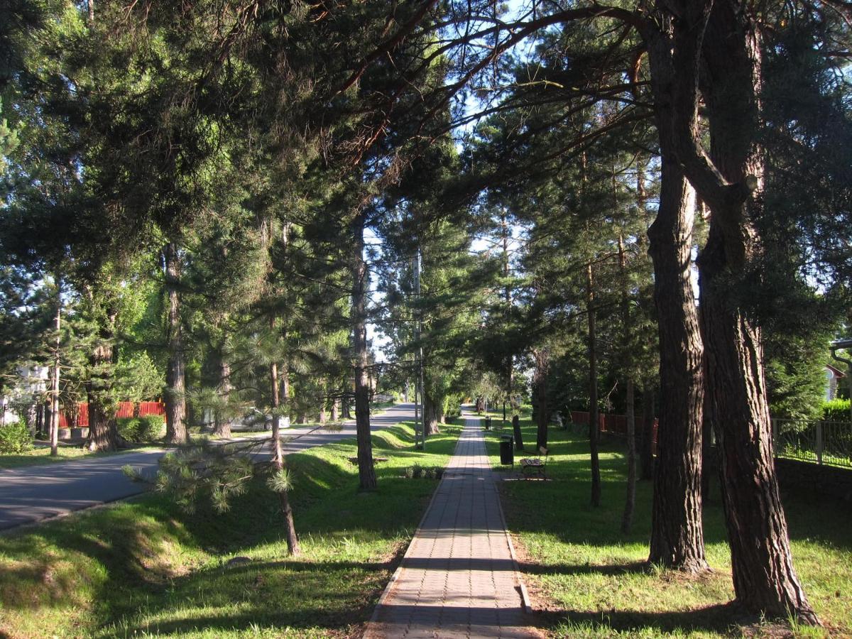 Tutijo Haziko Villa Balatonfenyves Eksteriør bilde